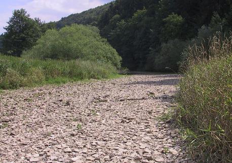 Donaubett im Sommer 2003